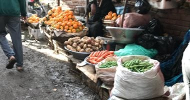 تعرف على أسعار الخضروات والفاكهة واللحوم بمحافظة الغربية.. صور