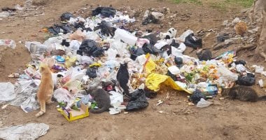 تراكم القمامة داخل حديقة الفردوس.. شكوى سكان مدينة الشمس بحلوان