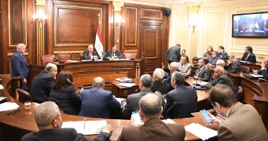  وزير القوى العاملة أمام "صناعة البرلمان" الأحد للحديث عن نشر ثقافة العمل الحر  