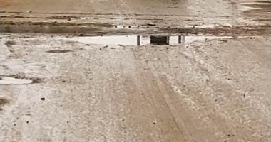صور.. سقوط أمطار خفيفة ومتوسطة وانخفاض حاد فى درجات الحرارة بالوادى الجديد