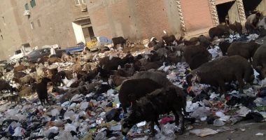 "سيبها علينا".. شكوى من انتشار القمامة بمنطقة القومية بأرض ام بيومى