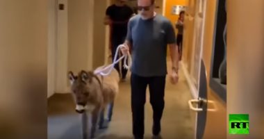 بيحسبه كلب.. شوارزنيجر يصطحب حماره الصغير إلى مكتبه  