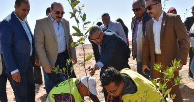 لزراعة ألف شجرة.. محافظ أسوان يطلق مبادرة "نجملها" لتشجير المدينة (صور وفيديو)