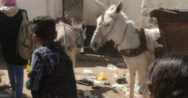 صور وابعت.. قارئ يرصد فوضى انتشار الباعة والقمامة والتكاتك بجوار  مدارس أخميم