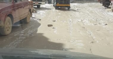 قارئ يشكو تهالك شارع عبدالله عزت بالإسكندرية.. ويطالب برصفه