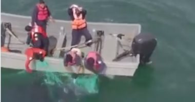 "حوت أحدب" يعلق فى شباك صيد صغيرة وصيادون يحاولون إنقاذه.. فيديو