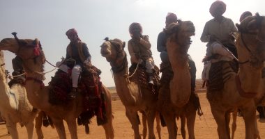 تأمين بيطرى ومستشفى ميدانى فى مهرجان الهجن العاشر بالشرقية 