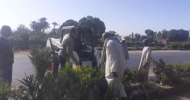 صور.. أسبوع النظافة يتواصل بالأقصر بتجميل المسار السياحى أمام مدينة الطود