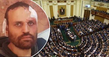 "ولكم في القصاص حياة".. برلمانيون: تنفيذ حكم الإعدام على هشام عشماوى يشفى غليل المصريين.. ورسالة لكل "عشماوى" إنه هيلاقى نفس المصير.. ومصر لها أذرع قوية للقضاء على التطرف.. وإعلام الإخوان هيتاجروا بالقضية
