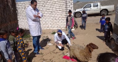 قوافل الإصحاح بجامعة القناة تعالج 346 حالة بيطرية بقرية أبو صوير البلد.. صور