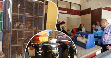 "الطب البيطرى" يلاحق أصحاب محلات الطيور فى أسوان والوادى الجديد.. الأسواق أكثر مخالفة للذبح.. والتخلص من الفضلات يسد بالوعات الصرف.. وخطابات للوحدات المحلية لمراقبة محال الدواجن فى الشوارع.. صور