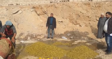 صور.. مفتشو الأغذية بالشرقية: إعدام 1200 كيلو مخللات منتهية الصلاحية