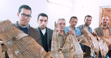 جمارك أرقين تضبط 3 محاولات تهريب جلود ورل وتماسيح وأدوية بشرية