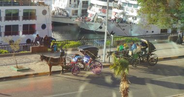 "على أرضها اتمخطر يا اسطى".. محافظ أسوان يعلن مسابقة لأجمل "حنطور".. ويرصد 10 آلاف جائزة لأفضل 5 عربات.. اللواء أشرف عطية: هدفنا تجميل المدينة.. ونقيب سائقى الحناطير: المبادرة تحفيز لنا ولزملائنا.. صور