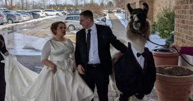 صور.. مفاجأة غريبة من أخ لشقيقته فى حفل زفافها.. اعرف ايه هى