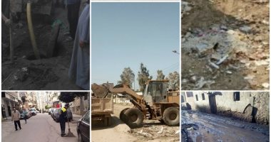 الكهرباء تستجيب لشكوى أهالى قرية سنهرة بقها.. والجيزة تزيل الأعمدة الحديدية من العجوزة.. والرصد البيئى يزيل القمامة من المنزلاوى بمحرم بك.. والغربية تحل أزمة المجارى فى كفر الزيات والكهرباء فى أبو علفة