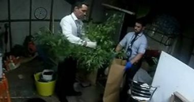 "مزحة" من طفلة تبلغ 5 سنوات تقود والدتها إلى السجن .. اعرف التفاصيل