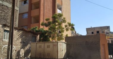 "سيبها علينا".. انتشار القمامة أمام مدارس مركز قوص بقنا.. صور