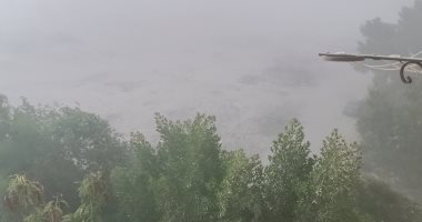 عاصفة ترابية تضرب مدن شمال ووسط البحر الأحمر وتؤدى لانخفاض الرؤية (صور)