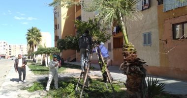 رئيس جهاز السادات: استكمال زراعة وصيانة المسطحات الخضراء بالمدينة