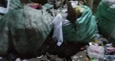 تراكم القمامة أزمة فى مدينة نصر.. والأهالى يستغيثون