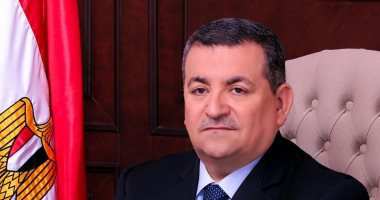 أسامة هيكل لنظيرته اللبنانية: مصر حكومة وشعبا تقف وراء لبنان في محنته