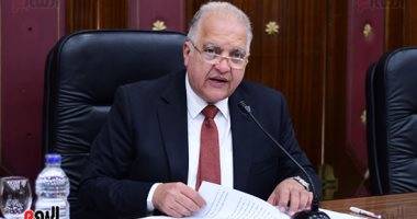 طاقة النواب: احتشاد المصريين بالخارج فى الانتخابات يؤكد وعيهم بأهمية المرحلة
