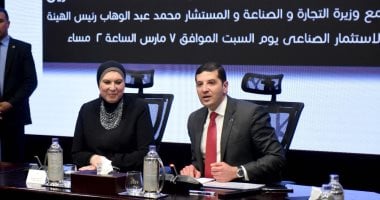 ضمانات الاستثمار فى مصر.. أبرزها عدم خضوع الأموال المستثمرة لإجراءات تعسفية
