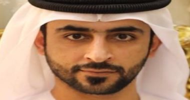 صحفي إماراتي يصف الدول التي تهاجم مصر بالسفهاء