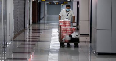 ألمانيا تعلن تسجيل أكثر من 200 إصابة جديدة بكورونا