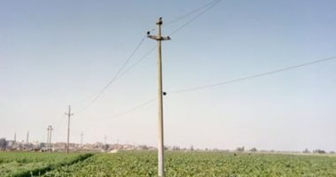 أهالى قرية بلقاس بالدقهلية يشكون من تهالك أعمدة الإنارة والمغذيات