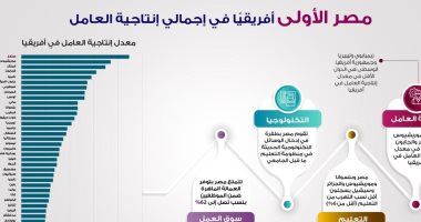 إنفوجراف لمركز معلومات مجلس الوزراء: مصر الأولى إفريقيا فى إنتاجية العامل