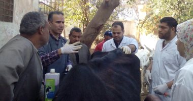 "بيطرى الغربية" يشن حملات على الأسواق ومزارع الدواجن 