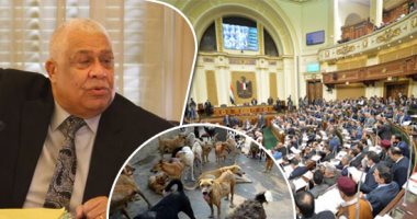 البرلمان يواجه الحكومة بـ14 أداة رقابية عن مشكلات وقضايا المواطنين.. ويوصى بتوفير مصل ضد "عقر الكلاب" بالمستشفيات والوحدات الصحية.. ولجنة الشكاوى توافق على 12 اقتراحا برغبة لرصف طرق وإنشاء كباري ومحطة سكة حديد