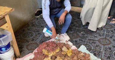 الرقابة الإدارية تضبط لحوم ودواجن فاسدة داخل مطاعم ومحلات بالوادى الجديد..صور