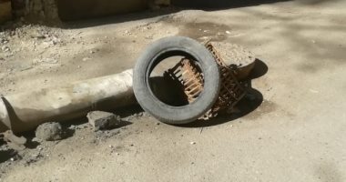 قارئ يشكو من وجود بلاعة مكشوفة تتسبب فى انتشار روائح كريهة أمام منزله بالزيتون