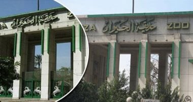 حدائق الحيوان تتخذ عدة إجراءات وقاية لحماية الحيوانات من الموجة الباردة