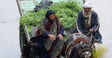 ما يجمعه الرزق لا يفرقه المطر.. ملاحم مصرية في الشوارع المصرية