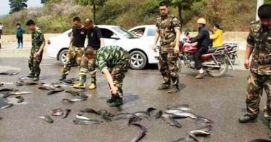السماء بتمطر سمك وعناكب.. اعرف أغرب حوادث الأمطار في ببعض الدول وقصتها