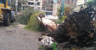 انهيار منزل في بنها واقتلاع شجرة بقليوب بسبب سوء الأحوال الجوية