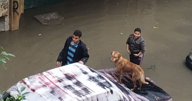 صور.. أهالى شارع القدسى بعزبة النخل يطالبون بصرف تجمعات مياه الأمطار