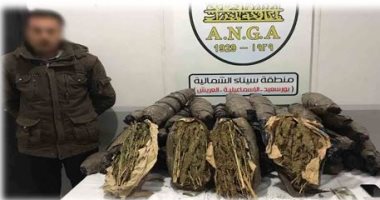 إحباط محاولة ترويج 125 كليو من مخدر البانجو بالإسماعلية