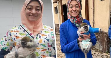 30 دقيقة طوارئ بطب بيطرى القاهرة لعلاج أنثى النسناس "بسبوسة".. الأشعة تكشف إصابتها بكسر فى ذراعيها.. بيطرية: الصيام 8 ساعات وتعقيم غرفة العمليات أساس إجراء الجراحة.. وإزالة المسامير بعد التأكد من تعافيها