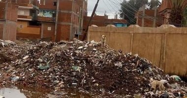 قارئ يستغيث لشفط تجمع مياه الأمطار بطحوريا مركز شبين القناطر