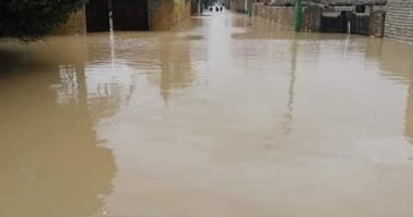 صور.. قارئ يستغيث لشفط تجمع مياه الأمطار قرية الديسمي بالصف