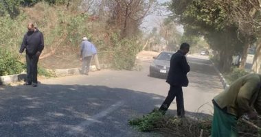 صور.. إطلاق حملة نظافة وتجميل لطريق المسار السياحى بالأقصر عقب العاصفة
