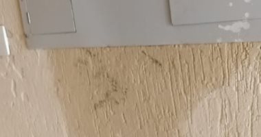 سكان حدائق أكتوبر يشكون من وصول مياه الأمطار للكهرباء بمنازلهم 