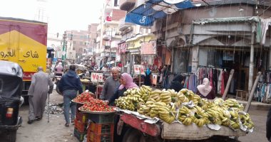 تعرف على أسعار الخضروات والفواكه بمحافظة المنوفية