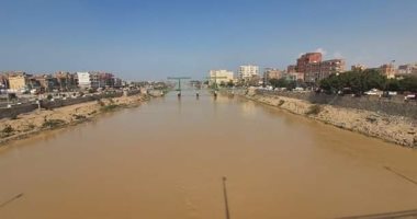 صور.. ارتفاع نسبة العكارة بترعة الإسماعيلية المغذية لمحطات الشرب بالشرقية لـ75%