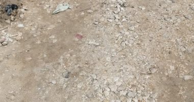  أهالى قرية الخاشعة بكفر الشيخ يطالبون برصف الطريق المؤدى للوحدة الصحية
